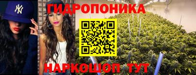ПСИЛОЦИБИНОВЫЕ ГРИБЫ Новозыбков