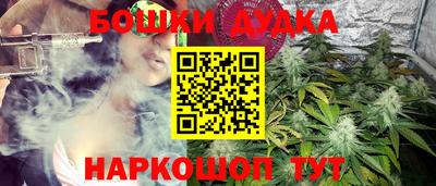 сатива Обнинск
